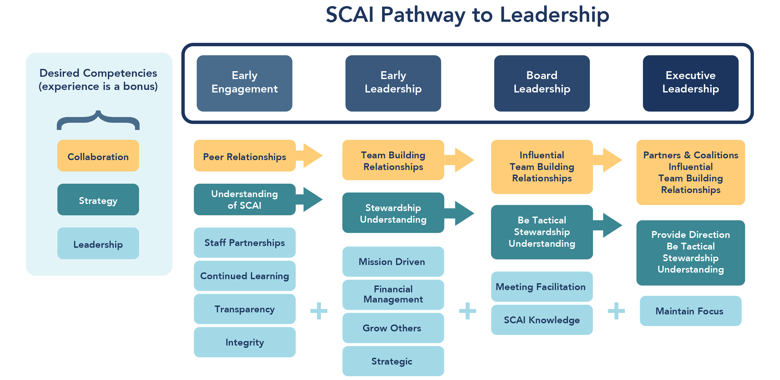 A chart showing the path to leadership within SCAI