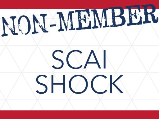 SHOCK Non-Member Art