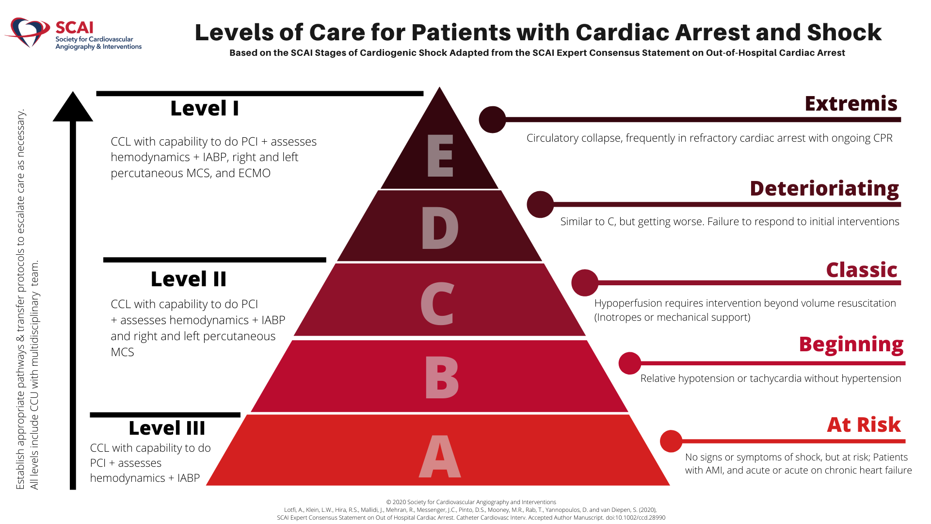 Proposed levels of care for patients with cardiac arrest and shock