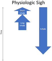 QI Tip October 2024 Figure1.png